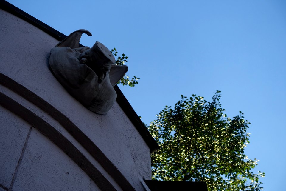 DSC04569