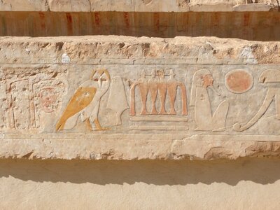 Temple owl hatshepsut temple