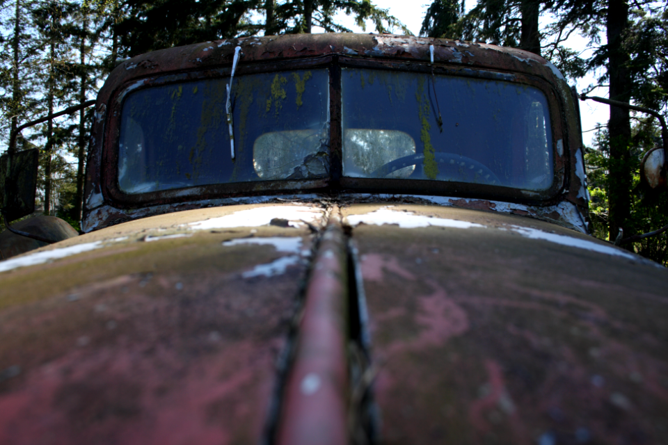 The hood and windshield of a rusty old truck