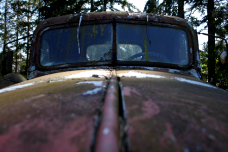 The hood and windshield of a rusty old truck photo