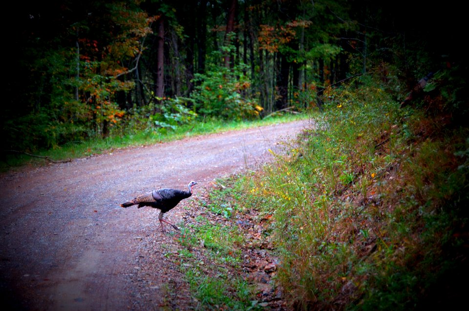 20121003-FS-Cherokee-023