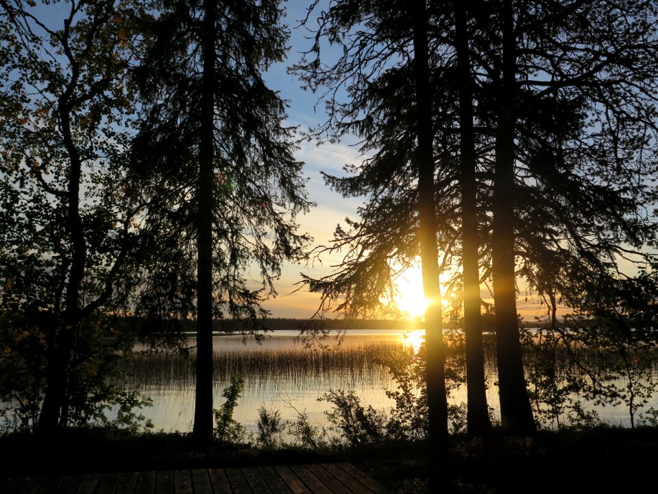 Tree lake skies