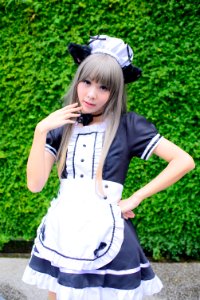 DSC 7241