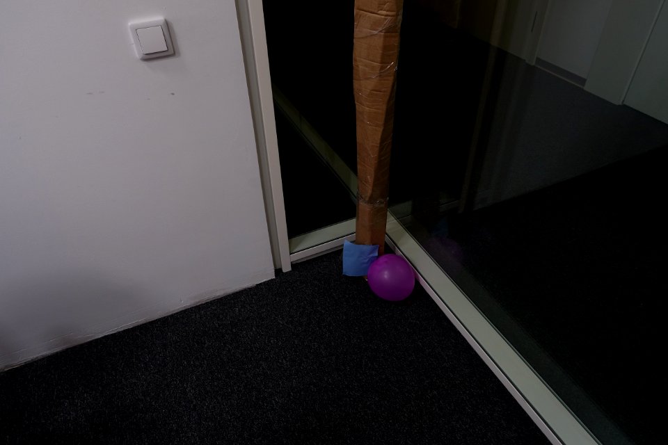 DSC00310