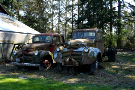 Two rusty old trucks photo