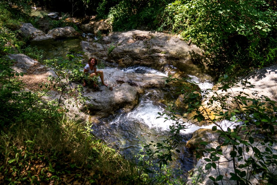 DSC03607