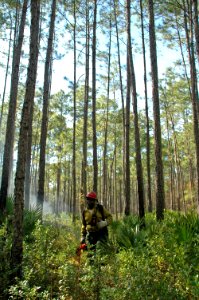 20111106-FS-Osceola-SB-035