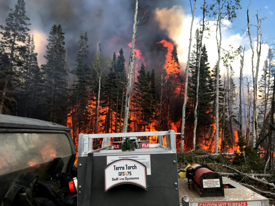 Prescribed burn at Manning Creek