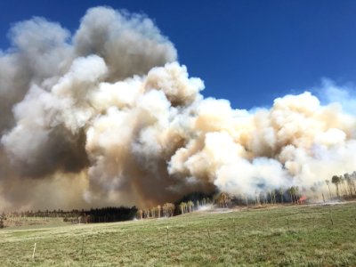 Prescribed burn at Manning Creek
