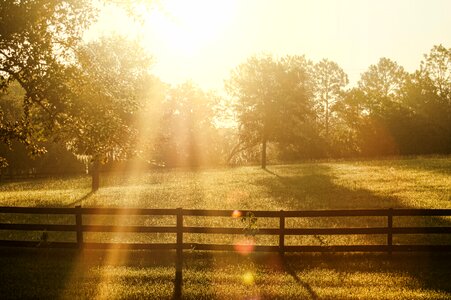 Light fence farm