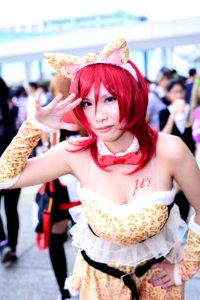 DSC 7583