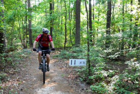 FS-FrancisMarionSumter-008