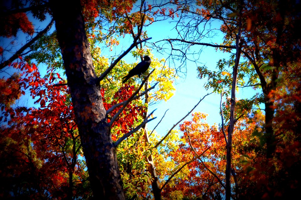 20121024-FS-Cherokee-027