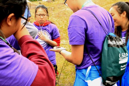 Observing amphibians and invertebrates of the ponds at Mount St. Helens photo