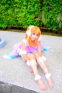 DSC 7237