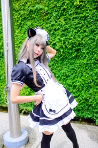 DSC 7243