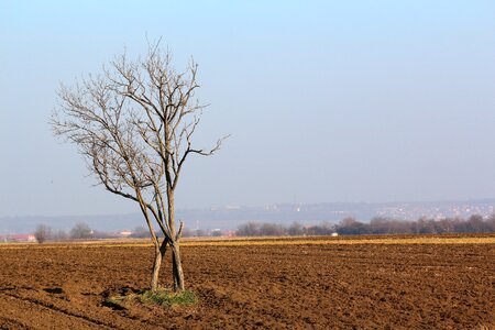 Soil ground sky