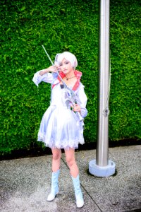 DSC 7579