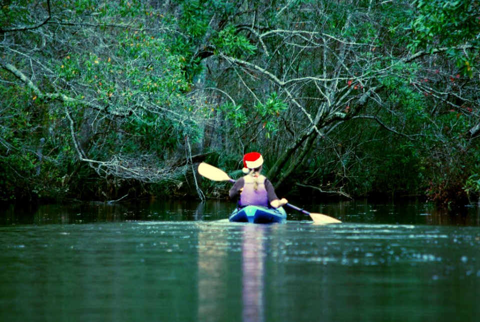 FS-FrancisMarionSumter-002