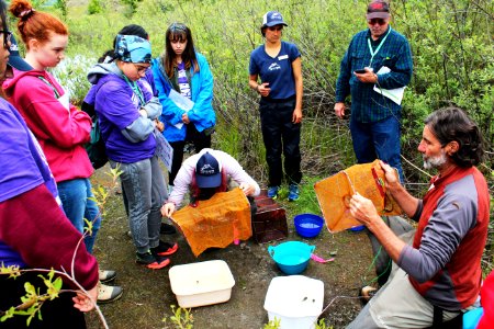 U.S. Forest Service Researcher Chrales Cristafulli presenting the aquatic creatures of the ponds at Mount St. Helens photo