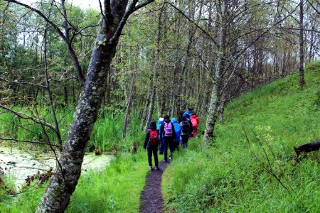 Hiking the Hummocks Trail