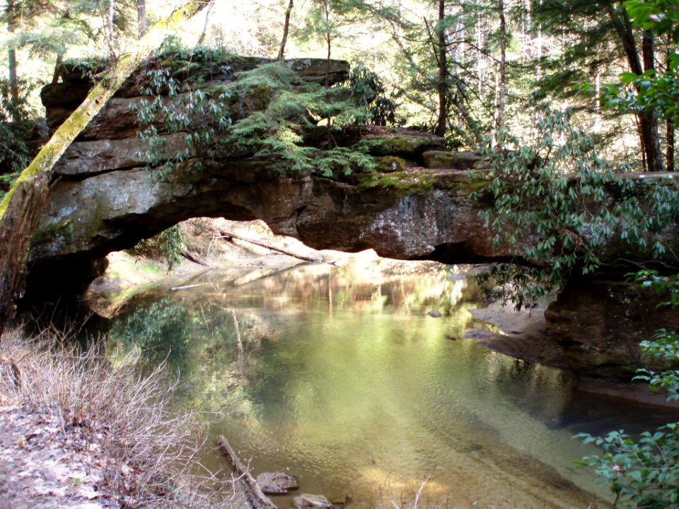 20080325-FS-DanielBoone-002
