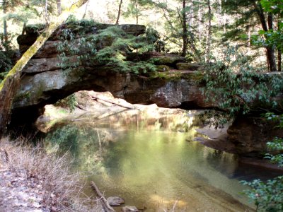 20080325-FS-DanielBoone-002