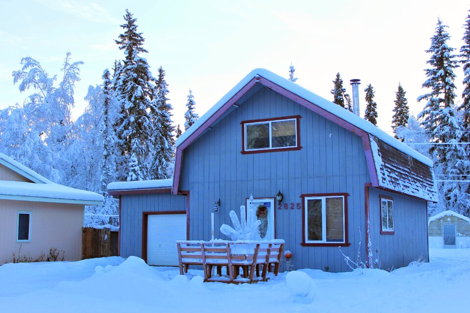 Winter cold snow