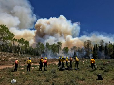 Prescribed burn at Manning Creek