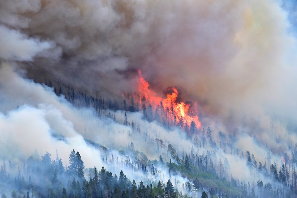 Prescribed burn at Manning Creek