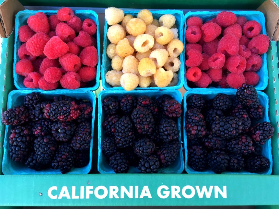 Berries