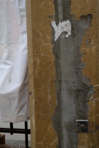DSC02253