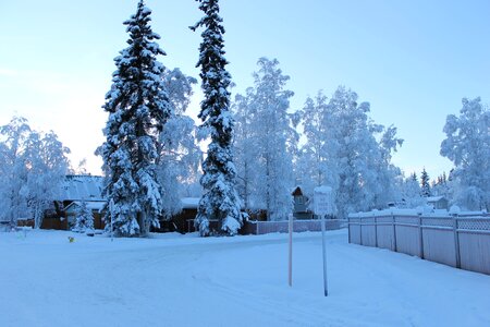 Winter street sign