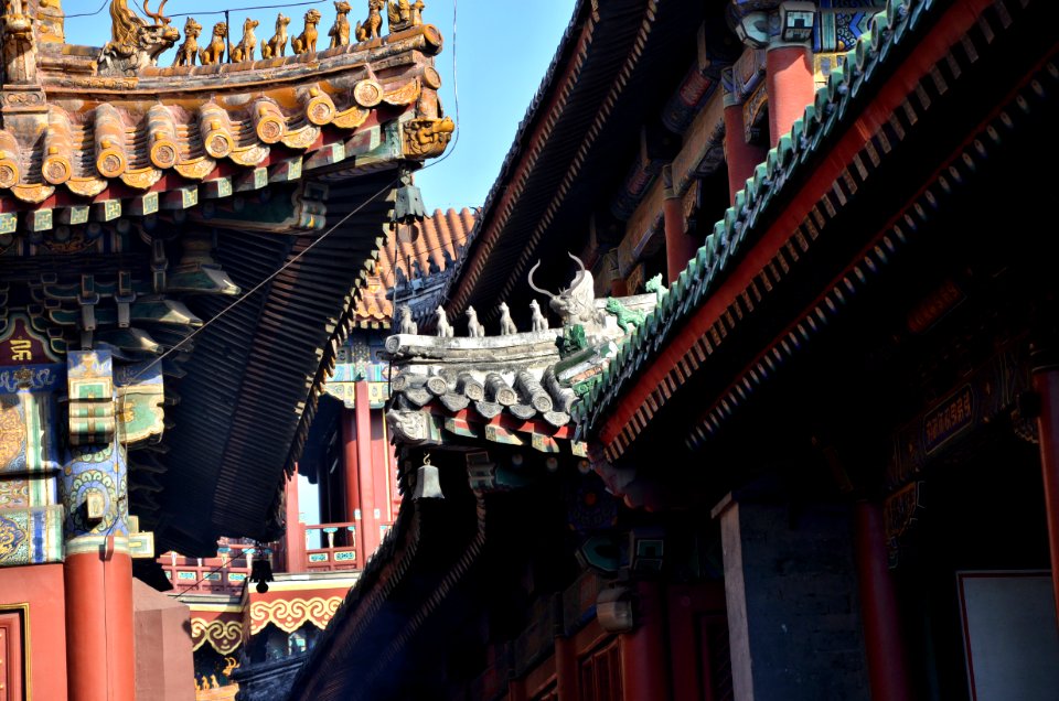 Lama Temple in Beijing (DSC 9733p)