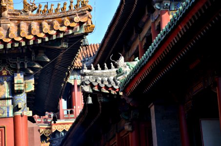 Lama Temple in Beijing (DSC 9733p)