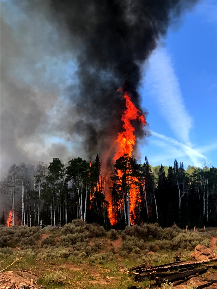 Prescribed burn at Manning Creek