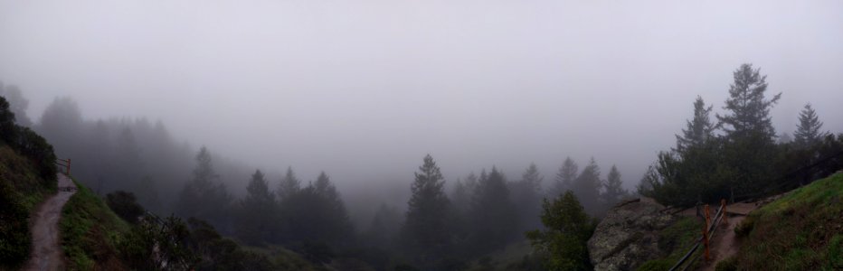 Fog Over the Valley Panorama