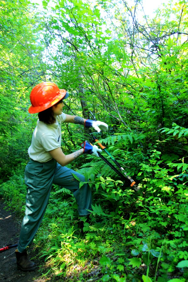 Restoration of trails at French's Dome