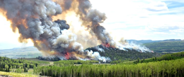 Indian Creek Prescribed Fire