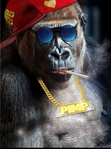 Cigarette sit sunglasses