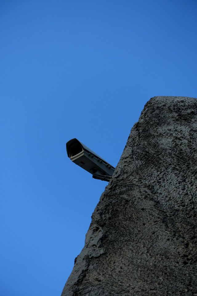 DSC04537