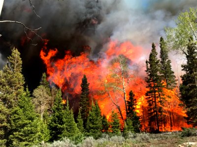 Prescribed burn at Manning Creek
