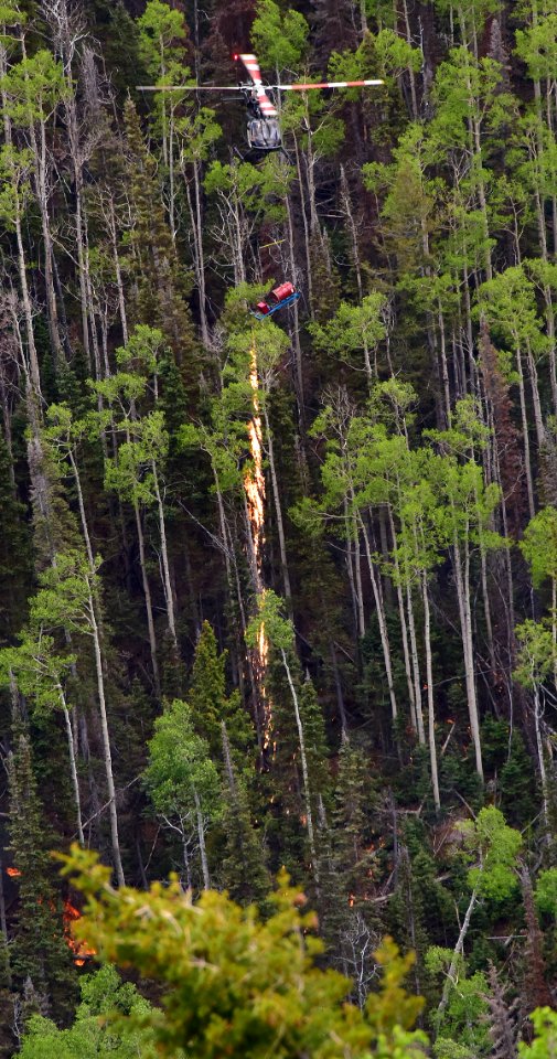 Prescribed burn at Manning Creek