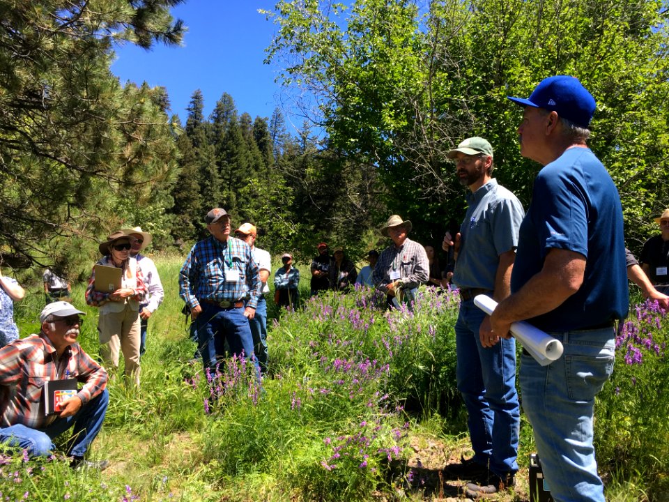 Society for Range Management Tour of Starkey