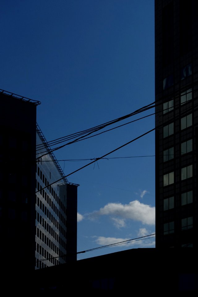 DSC06951
