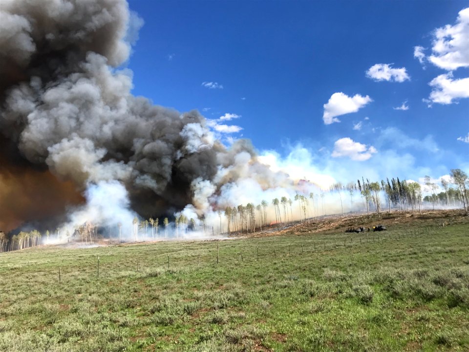 Prescribed burn at Manning Creek