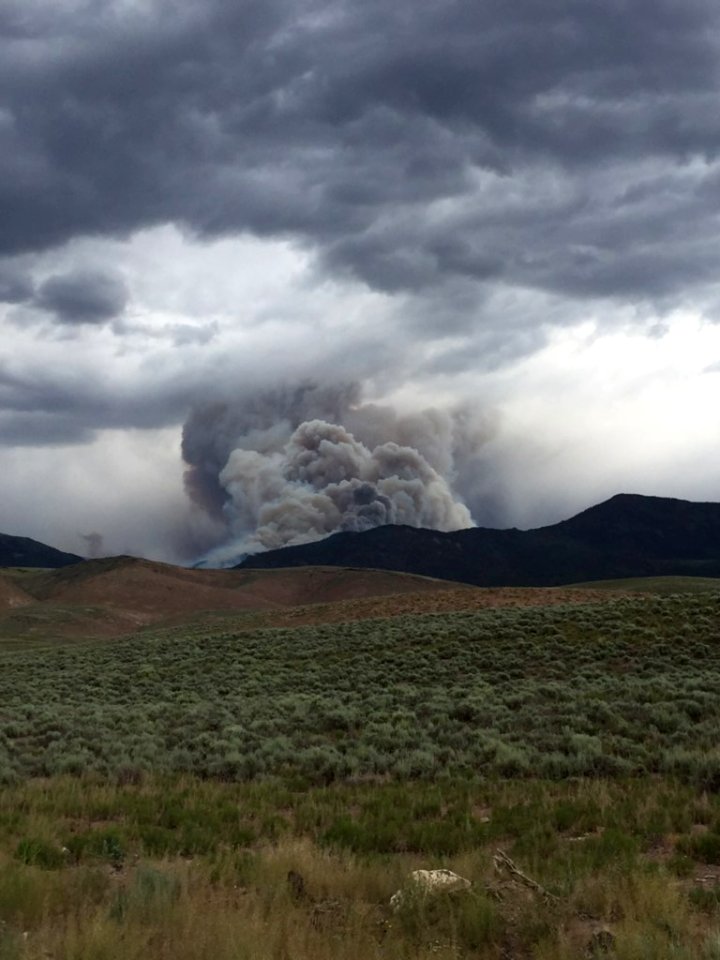 Prescribed burn at Manning Creek