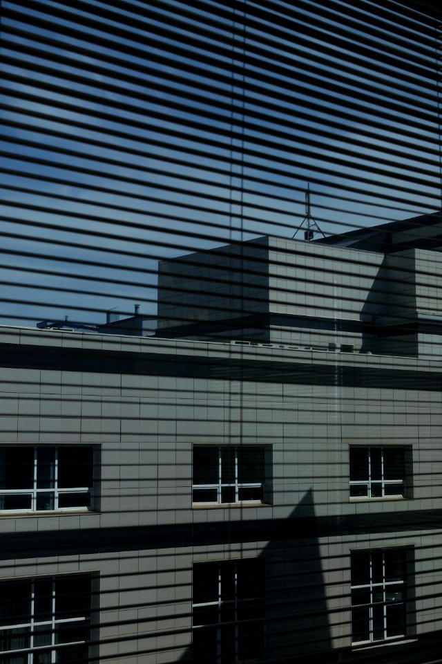 DSC04203