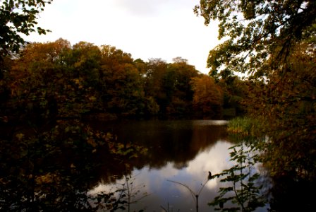 29th October Common Bank Lodge, Chorley UK.