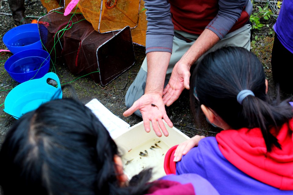 U.S. Forest Service Researcher Chrales Cristafulli presenting the aquatic creatures of the ponds at Mount St. Helens